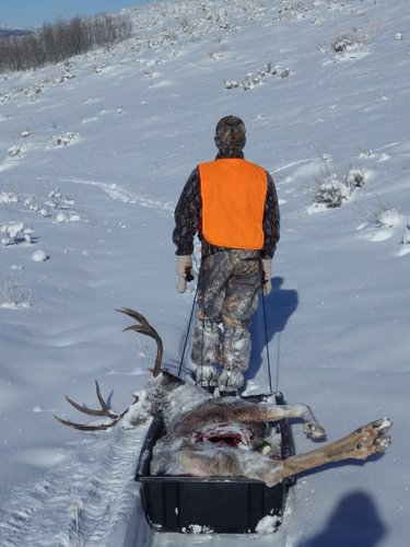 2015 hunting 041 (480x640).jpg