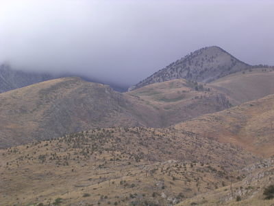 DSCN1155_opt (1).jpg