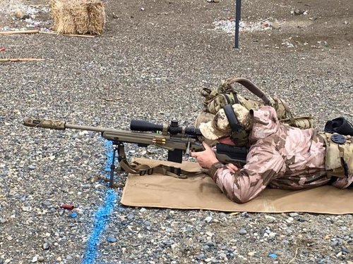 Rattlesnake4.jpg