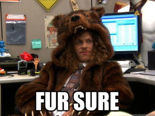 fur-sure.jpg