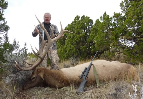 WY elk 2011.jpg