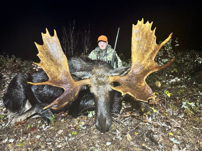 moose.jpg