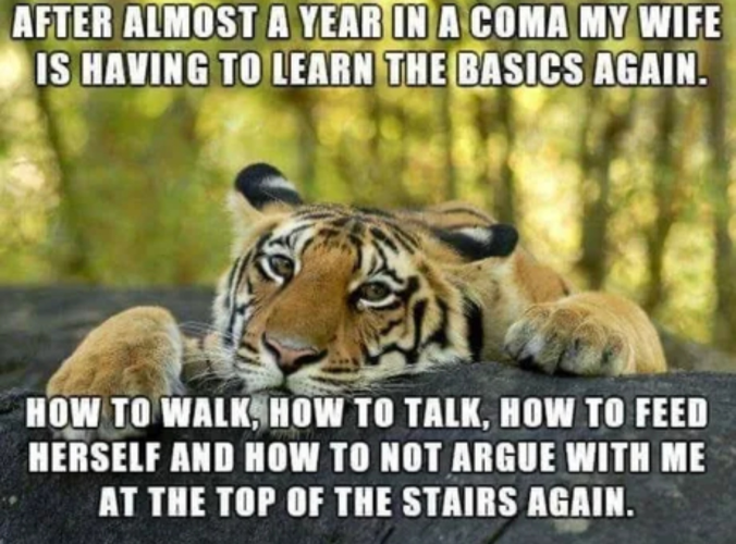 1746015949367.png