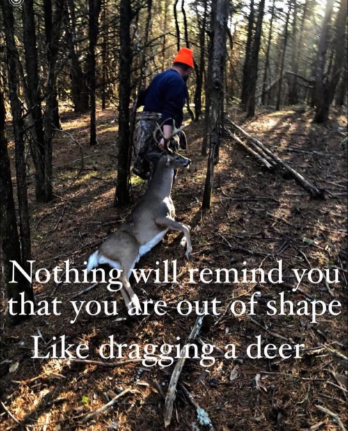 1746038718820.png