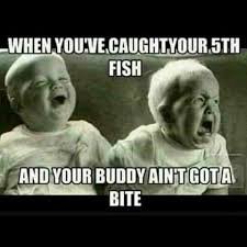 fish.jpg