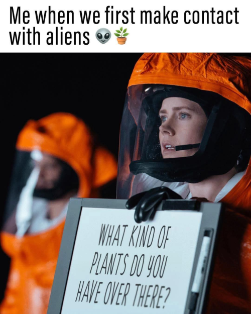 1746213992395.png