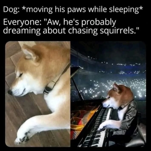 1746214123445.png
