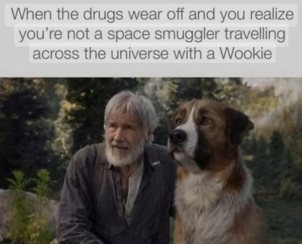 1746214463505.png