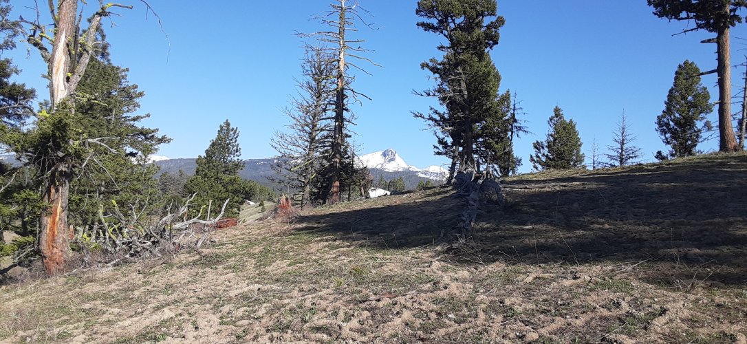 20250503_091019.jpg