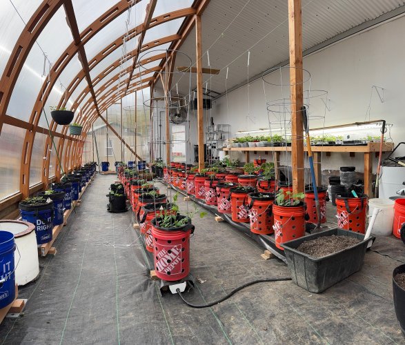 AK Greenhouse.jpg