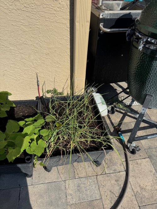 image1 (10).jpeg