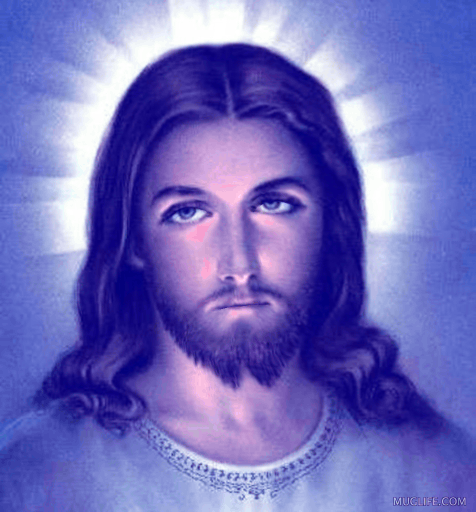 IMG_7265.gif IMG_7265.gif