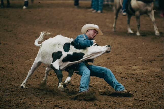Bulldoggin'.jpg