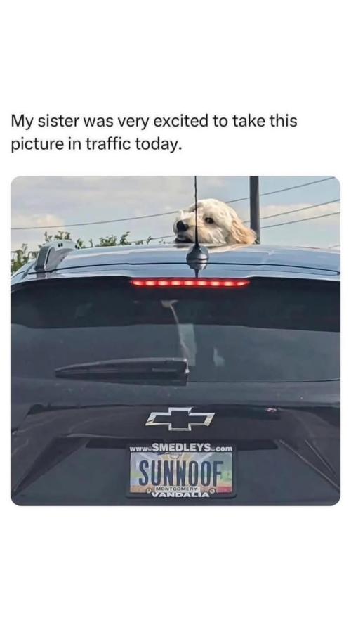 1746732341456.png