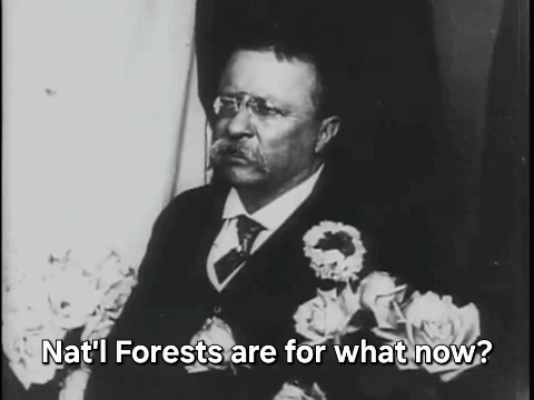 1000014797.gif 1000014797.gif