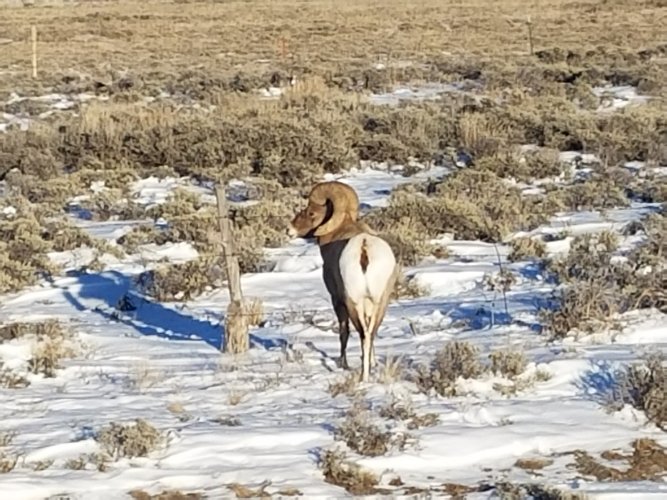20171217_153809.jpg 20171217_153809.jpg