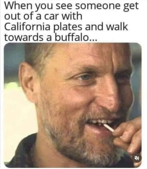 1747186078865.png