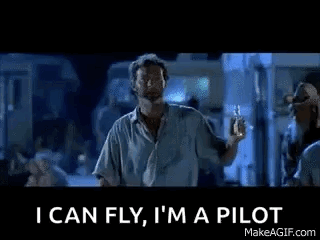 independenceday-impilot.gif