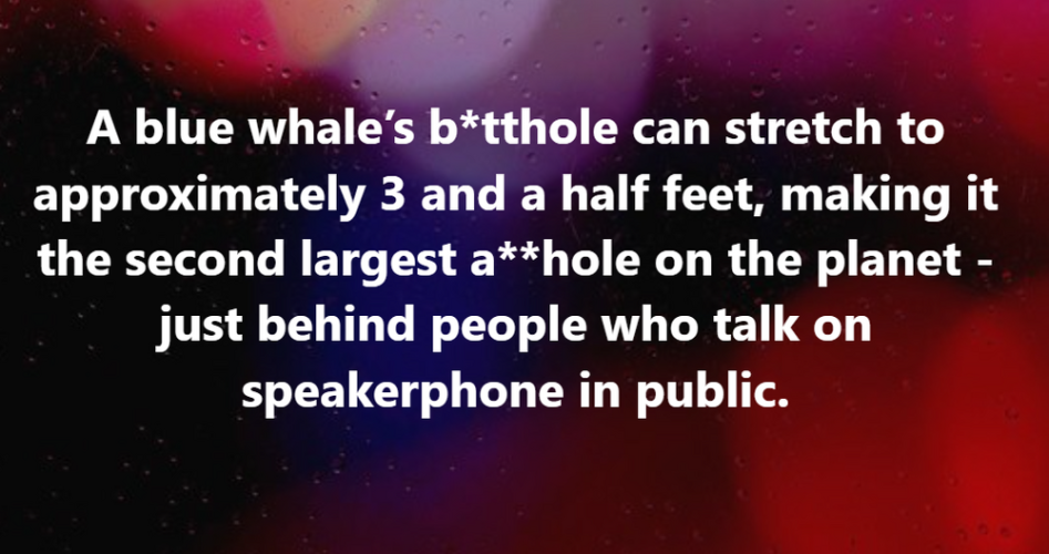 1747261625210.png