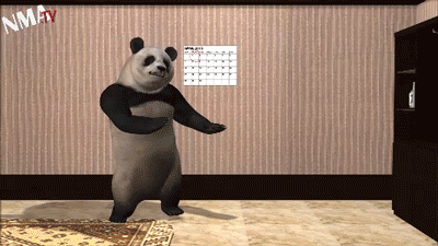dancing bear.gif