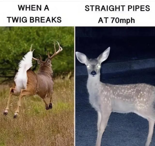 1747278279620.png
