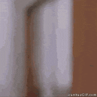 1747340357952.gif