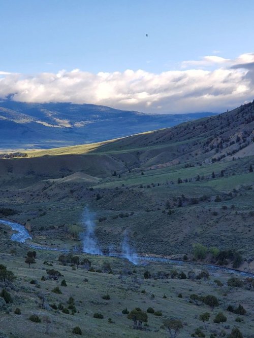 Gardner River.jpg