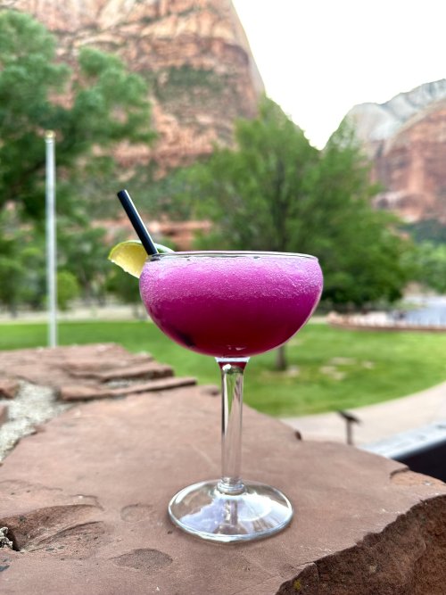 IMG_7445.jpeg IMG_7445.jpeg