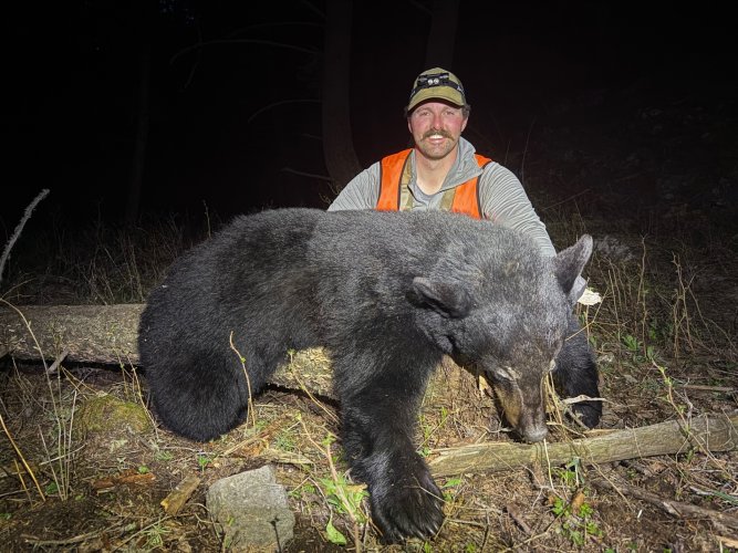 MT 2025 Bear.jpg