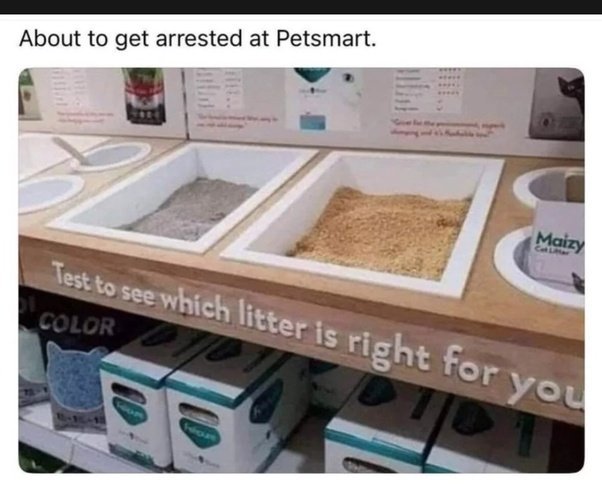 406652-d9f4d8a99bbb6232723be4aa4f9fd8ca.jpeg