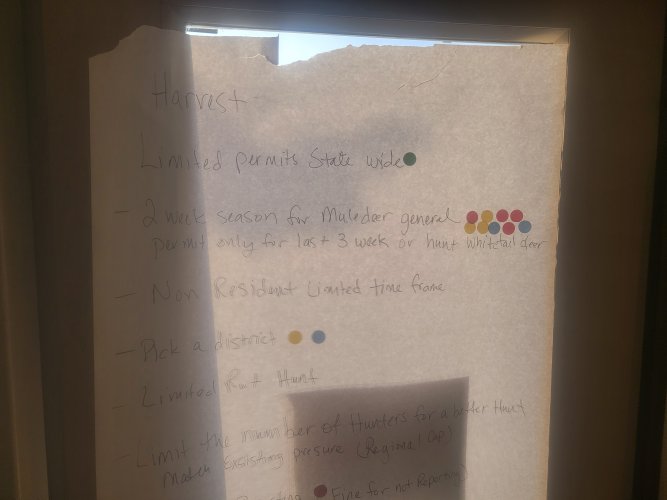 20250519_195654.jpg 20250519_195654.jpg