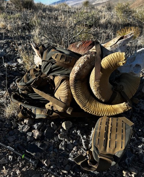 IMG_0273.jpeg IMG_0273.jpeg