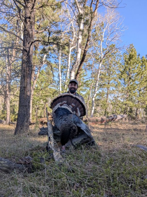 Gobble Gobble.jpg