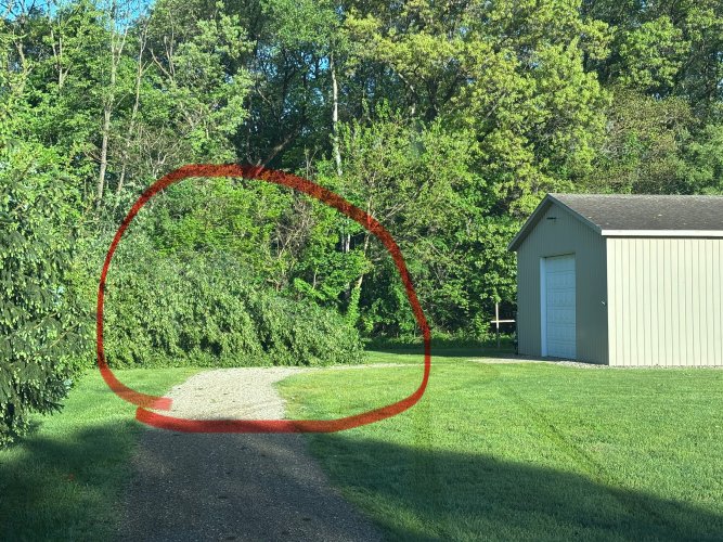 IMG_8840.jpeg IMG_8840.jpeg