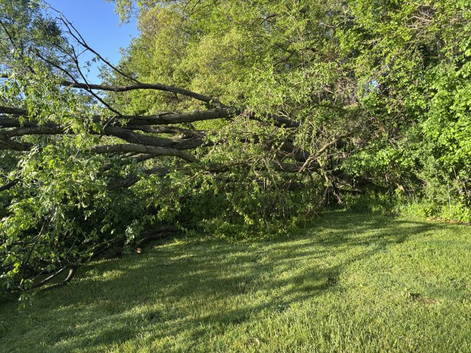 IMG_8839.jpeg IMG_8839.jpeg