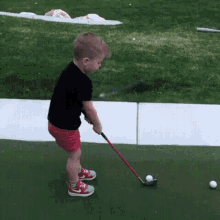 tmp.gif