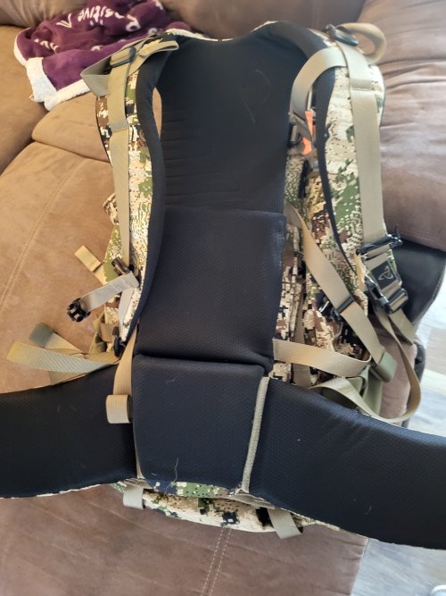 20250309_123240 (1).jpg