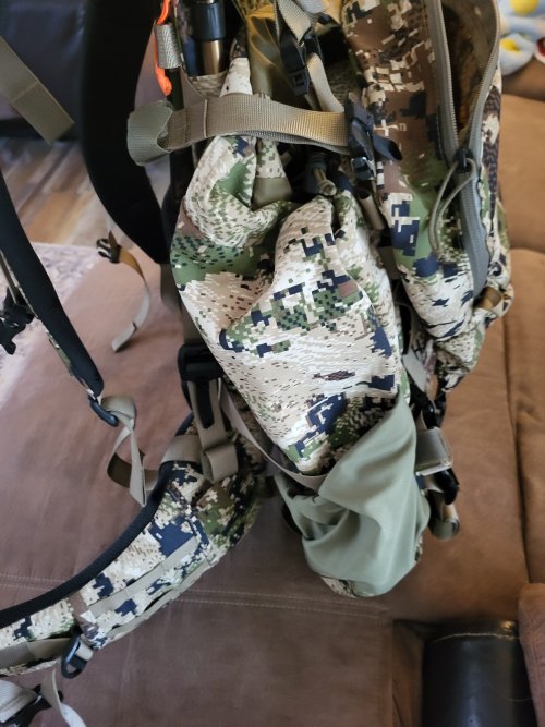 20250309_123246 (1).jpg