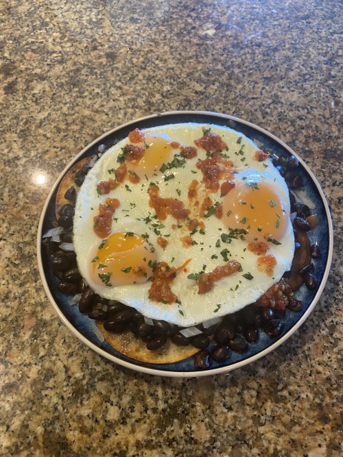 IMG_0441.jpeg IMG_0441.jpeg