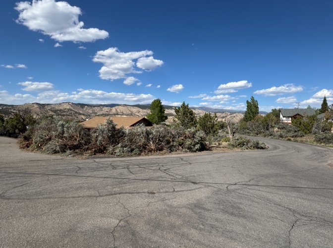 IMG_7946.jpeg IMG_7946.jpeg