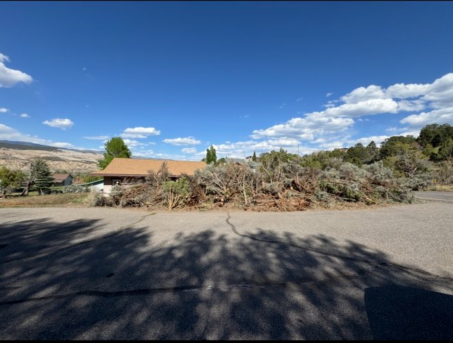 IMG_7945.jpeg IMG_7945.jpeg