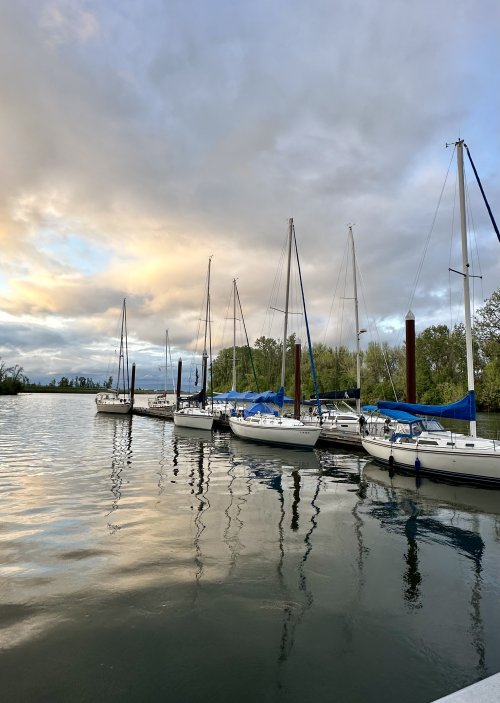 IMG_9641.jpeg IMG_9641.jpeg