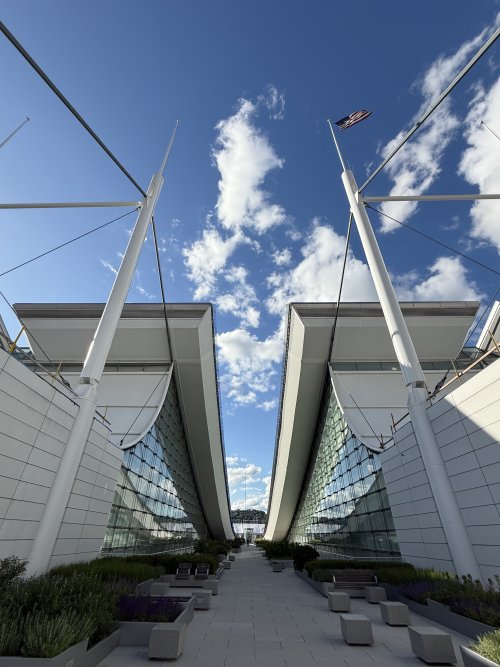 IMG_9989.jpeg IMG_9989.jpeg