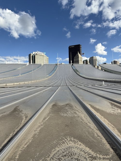 IMG_9970.jpeg IMG_9970.jpeg