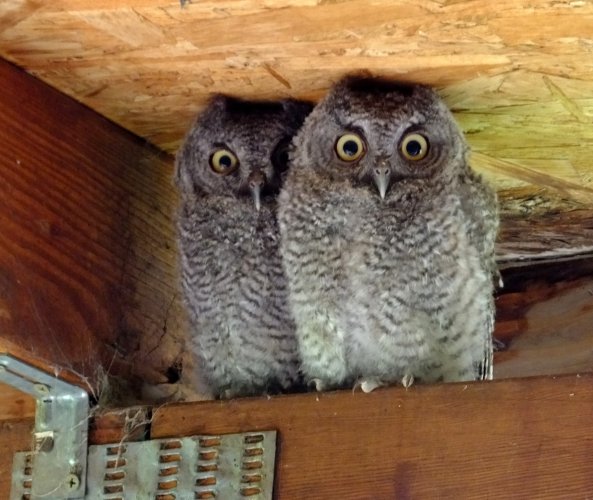 1748200192041.jpeg 1748200192041.jpeg