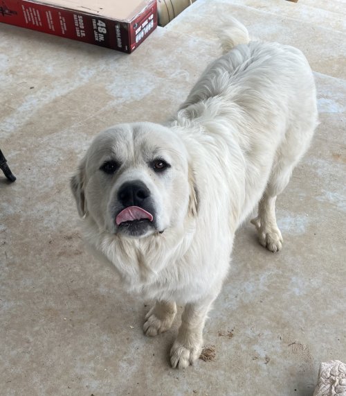 IMG_6560.jpeg IMG_6560.jpeg