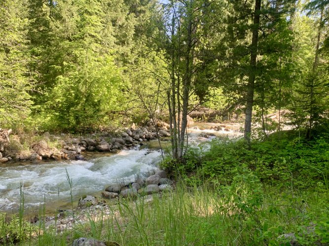 IMG_9743.jpeg IMG_9743.jpeg