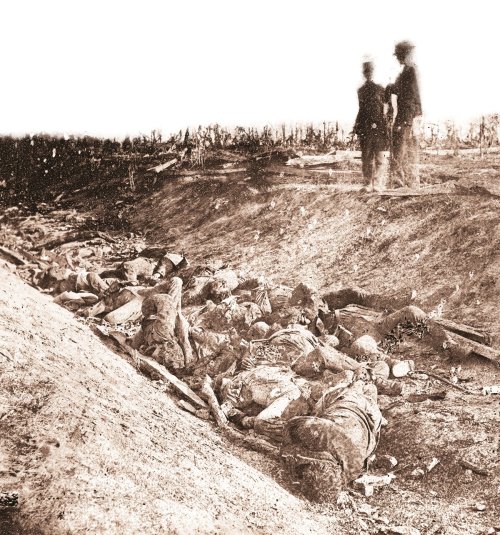 IMG_2870.jpeg IMG_2870.jpeg