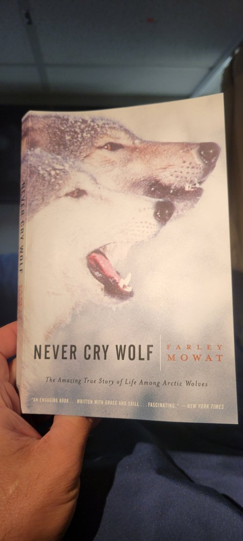 1000020378.jpg 1000020378.jpg