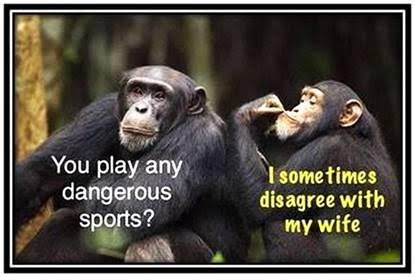 thumbnail_image027.jpg